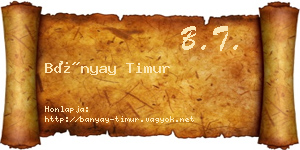Bányay Timur névjegykártya